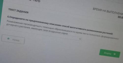 Определите по предложенному описанию вегетативного размножения