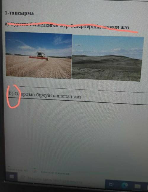 B) Олардын біреуін сипаттап жаз.