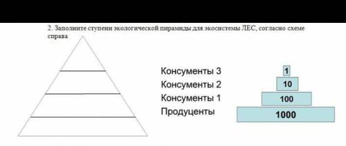 с сором по естествознанием 2 непонимаю