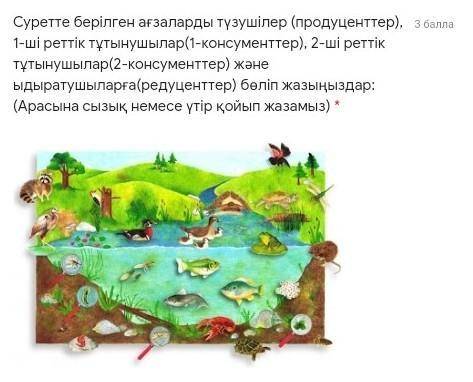 тест жаратылыстану дай 5 класс 1 задание 4 четверть 