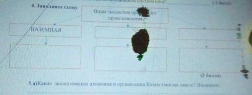 Заполните схему виды экосистемы природного происхождения