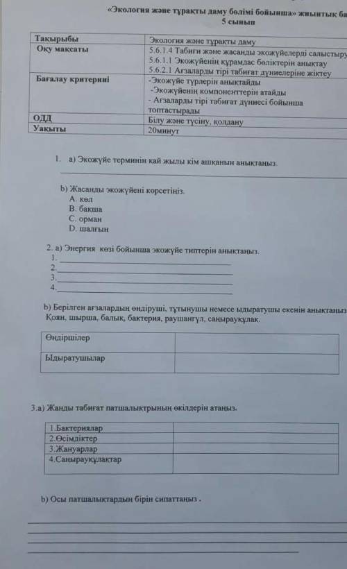 Жасанды жуйены корсетыныз А В С D