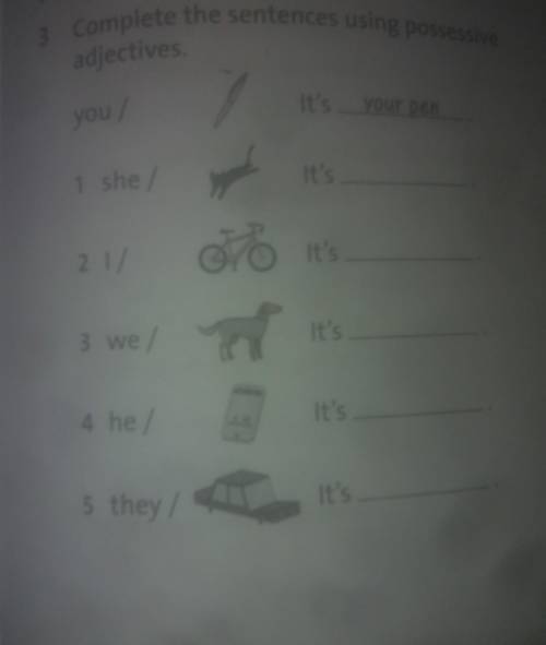 Complete the sentences using possessive adjectives. 