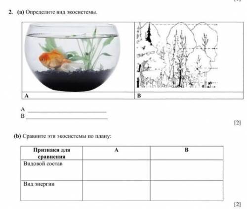 Определите вид экосистемы сравните эти экосистемы по плану