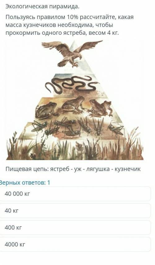 Кто неправильно ответит отмечу нарушение , только быстрее 