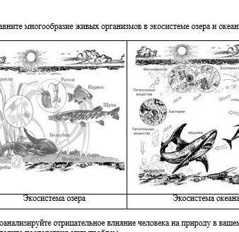 Сор по естествознанию 3 задание сравните озёра и океаны