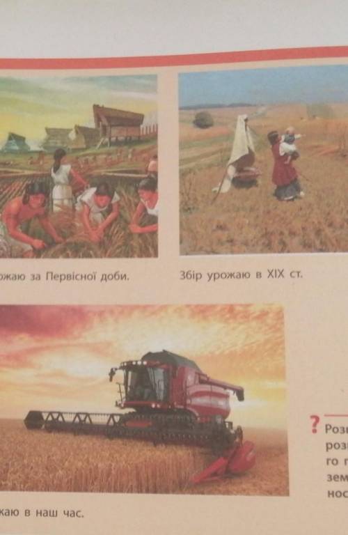 Скласти розповідь про розвиток сільско господарського господарства на українських землях