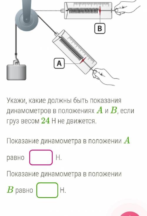 Укажи, какие должны быть показания динамометров в положениях A и B, если груз весом 24 Н не движется