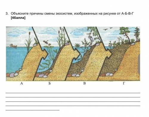 3. Объясните причины смены экосистем, изображенных на рисунке от А-Б-В-Г 