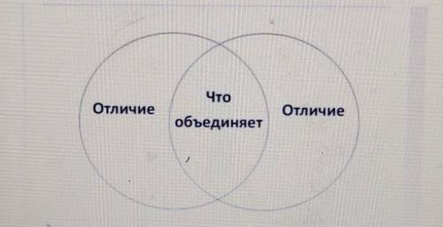 Сравните ФГП Казахстана и Японии при диаграммы Верна , заранее :)