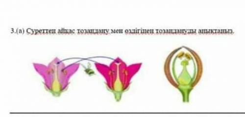 Суреттен айқас тозандану мен оздігінен тозандануды аныктаныз 