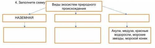 Заполните схему: Виды экосистем природного происхождения