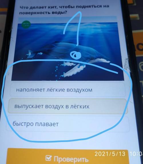 Что делает кит, чтобы подняться наповерхность воды?​