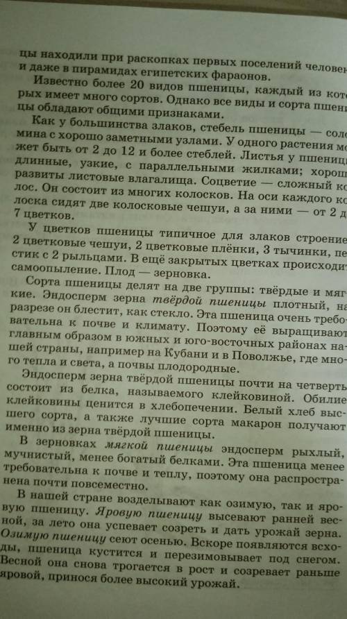 Нужен конспект по биологи про пшеницу 6 класс