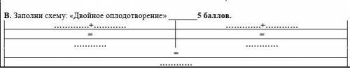 Заполни схему:«Двойное оплодотворение», 
