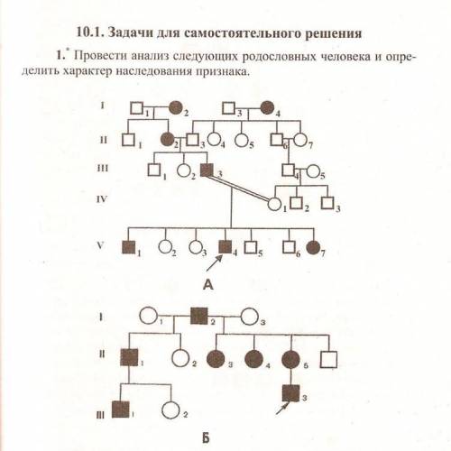 Сделайте анализ родословных я не понимаю
