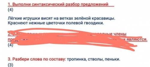 Выполните 2 задания СОЧ по русскому только полностью