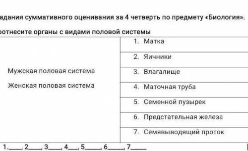 Соотнесите органы с видами половой системы
