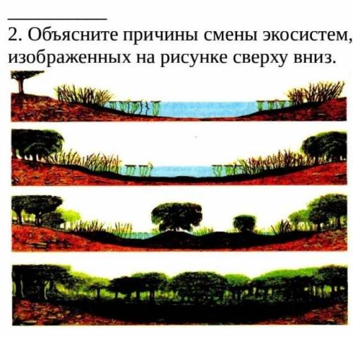 Объясните причины смены экосистем, изображенных на рисунке сверху вниз.