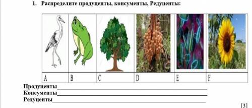 1. Распределите продуценты, консументы, Редуценты ​