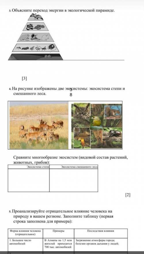 ) только ответы на все вопросы!