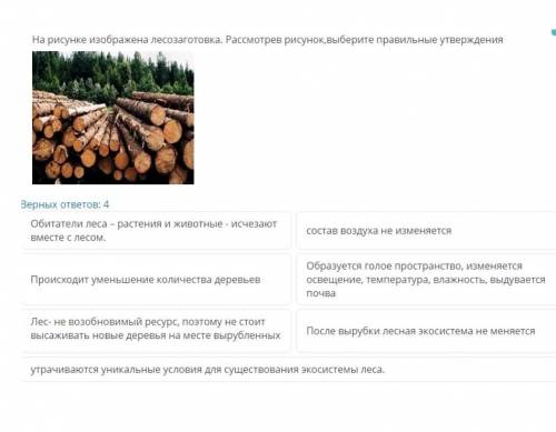 Соч по география 4 четветь онлайн мектеп