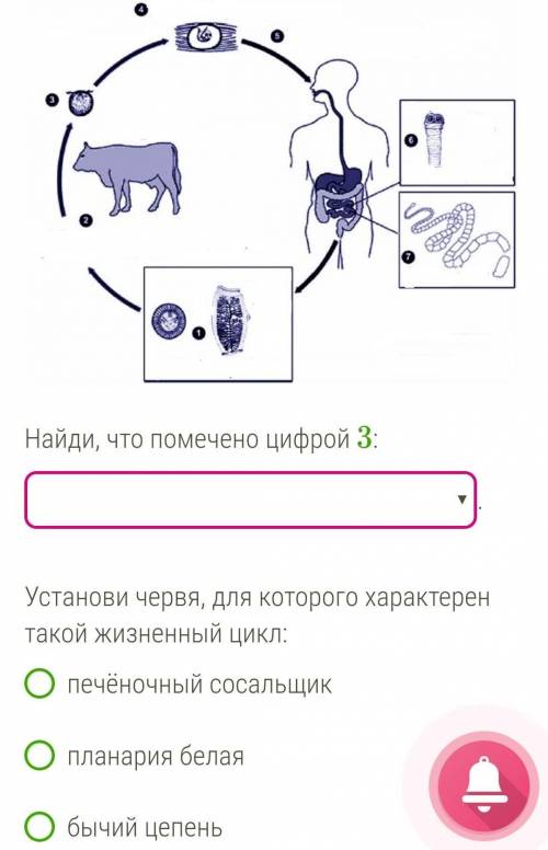 Вставь цифру, которой обозначен основной хозяин:.