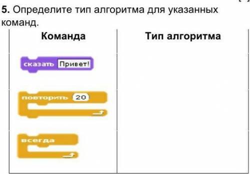 5. Определите тип алгоритма для указанных команд. 