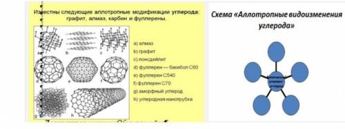 Используя рисунок, заполните схему «Аллотропные видоизменения углерода».