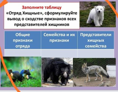 дайте ответ заполненную таблицу