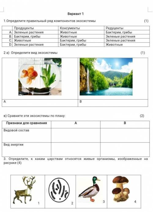 Продолжение в следующем вопросе