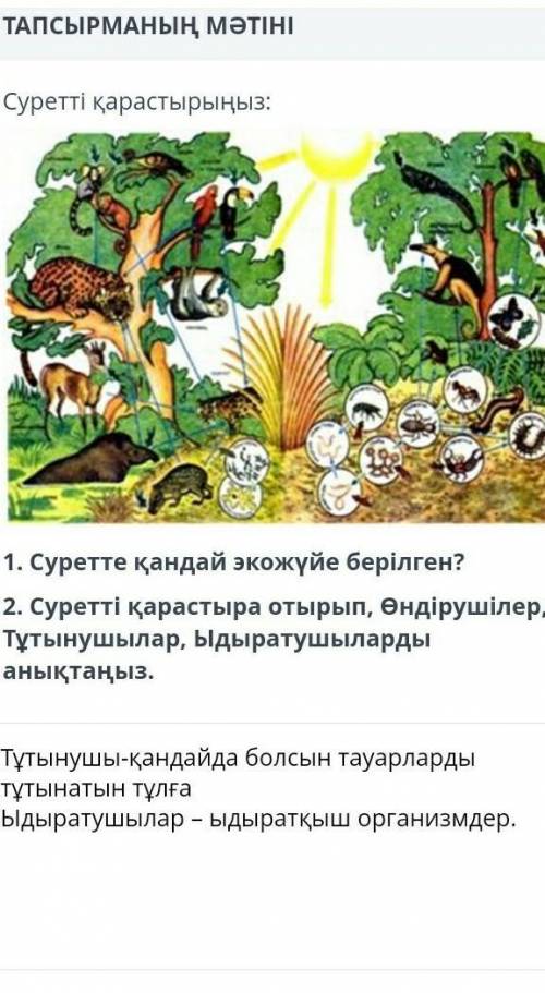 У меня тжб дайте правильный ответ 