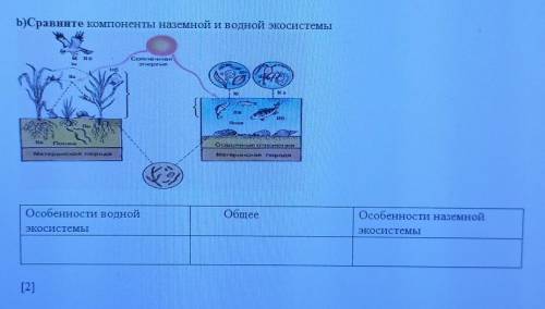 Сравните компоненты наземной и водной экосистемы