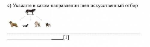 Укажите в каком направлении шел искусственный отбор