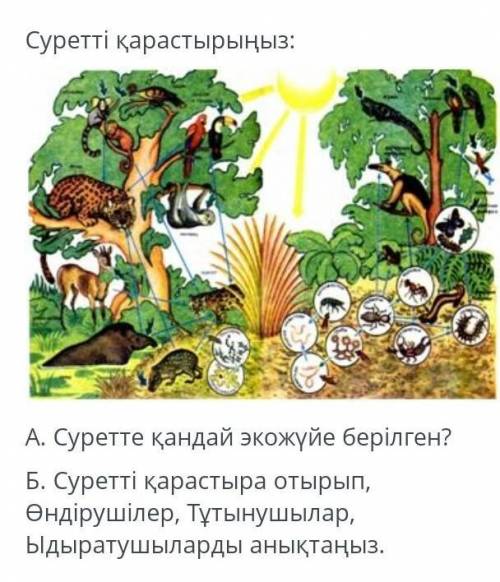 Қалай болады айтасыздарма? 