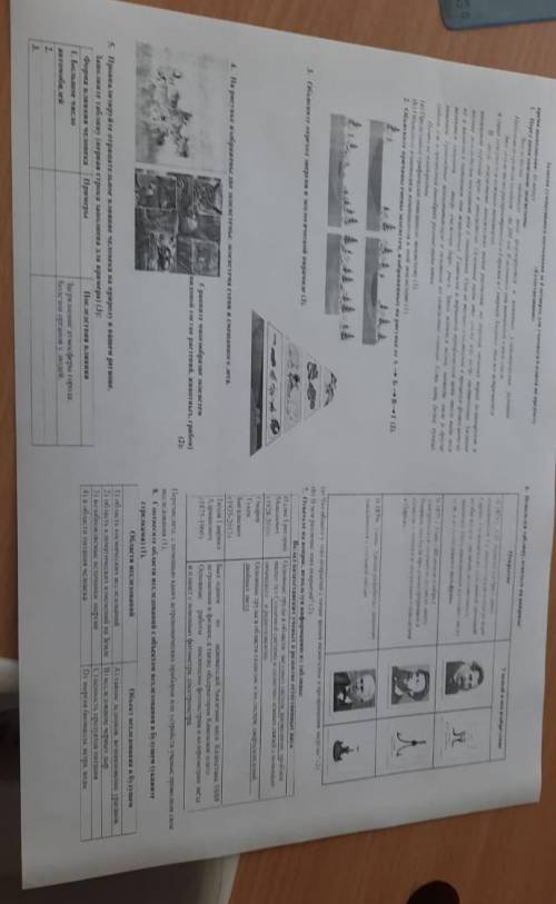 Перед вами описание ЭКО системы соч по естество знанию 