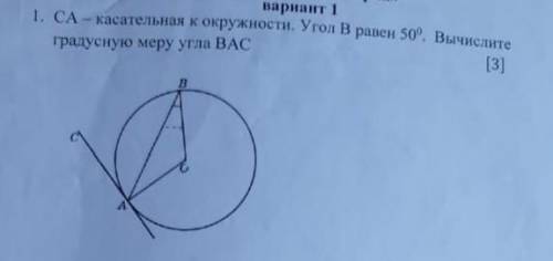 ❗❗ CA- касательная к окружности. Угол B равен 50°. Вычислите градусную меру угла BAC
