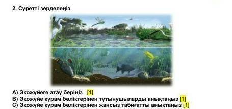 ХЭл от кто решит правильно