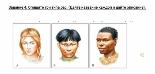 Опишите три типа рас( Дайте каждое название и описание).