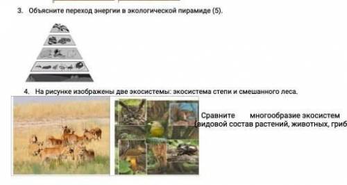Здравствуйте с этим заданием