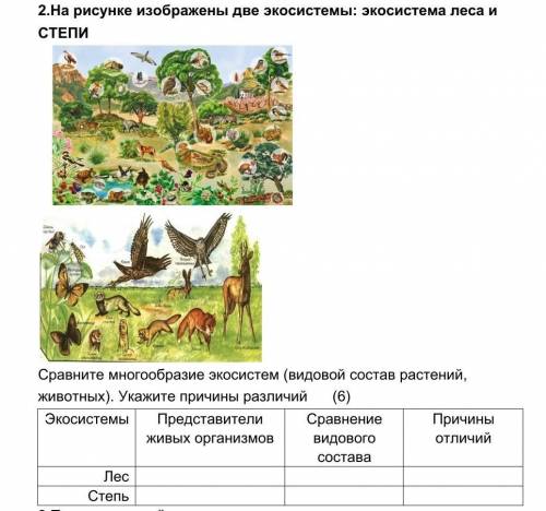 На рисунке изображены две экосистемы: экосистема леса и СТЕПИ 