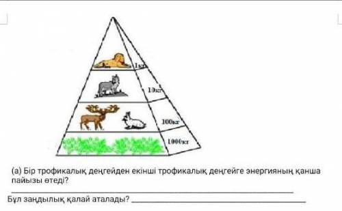 Тжб 6 сынып жаратылыстану