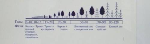 Задание 2.наобъясните причины смены экосистем, изображенныхрисунке.