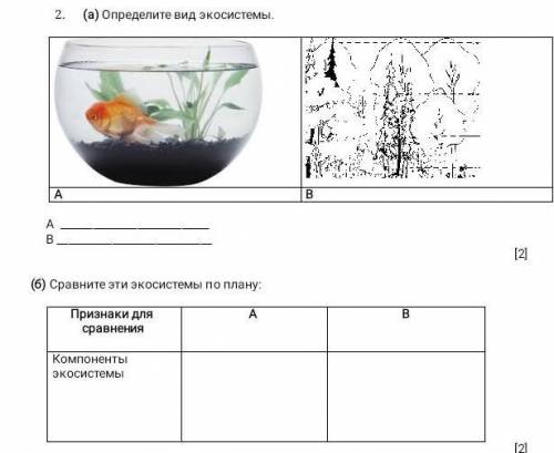 Сравните эти экосистемы по плану признаки для сравнения компоненты экосистемы 