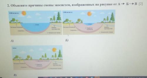2. Объясните причины смены экосистем, изображенных на рисунке от А-Б-B 