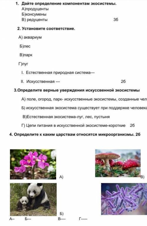 Дайте определение компонентам экосистемы 