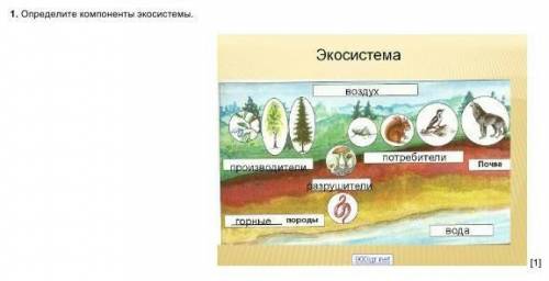 Апредели компоненты экосистемы