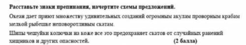 Поставьте знаки препинания начертите схемы предложений 