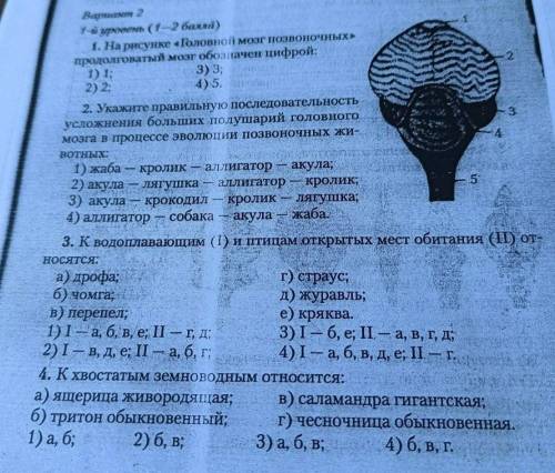 Решите хотя-бы что-нибудь 