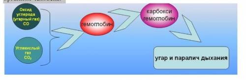 10. Используя схему, объясните физиологическое действие угарного газа на организм человека.